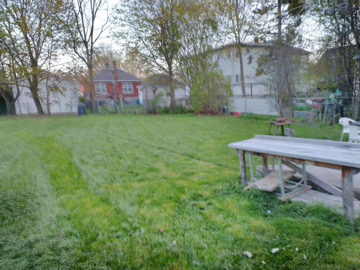 Cozy Downtown One Bedroom Free Parking Kingston Zewnętrze zdjęcie
