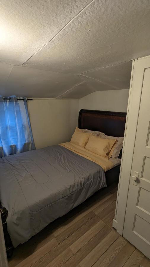 Cozy Downtown One Bedroom Free Parking Kingston Zewnętrze zdjęcie